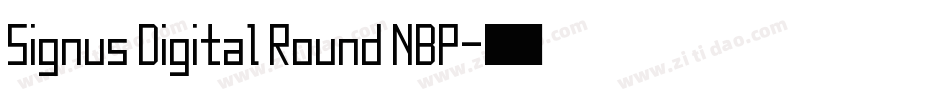 Signus Digital Round NBP字体转换